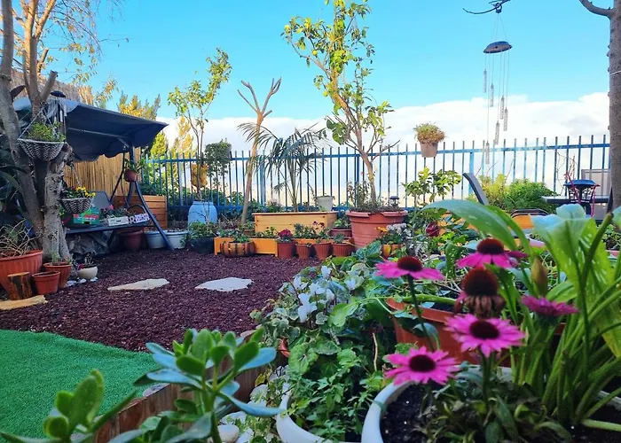 Pleasant Cozy Sunny Room With Garden