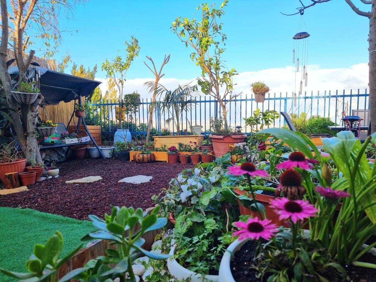 Pleasant Cozy Sunny With Garden Homestay *